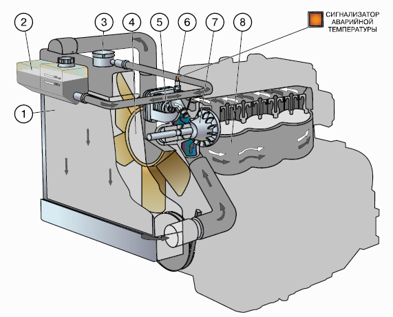 Охлаждение двигателя мтз. Система охлаждения МТЗ 82. Система охлаждения двигателя МТЗ 1221. Система охлаждения МТЗ 320. Система охлаждения двигателя МТЗ 82 схема.